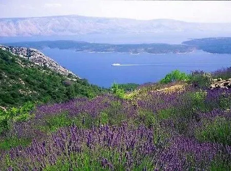 Antun * Hvar Town